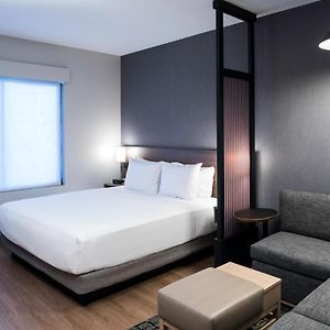 King Room Sofa Bed