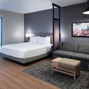 Specialty King Room Sofa Bed